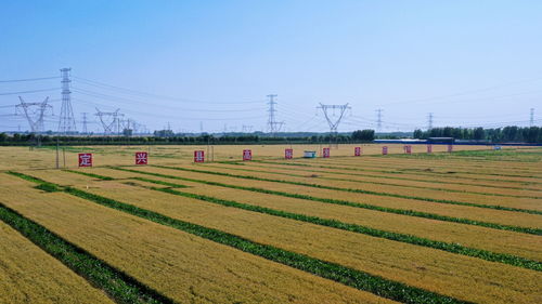 河北保定 科技創新為發展注入澎湃動能
